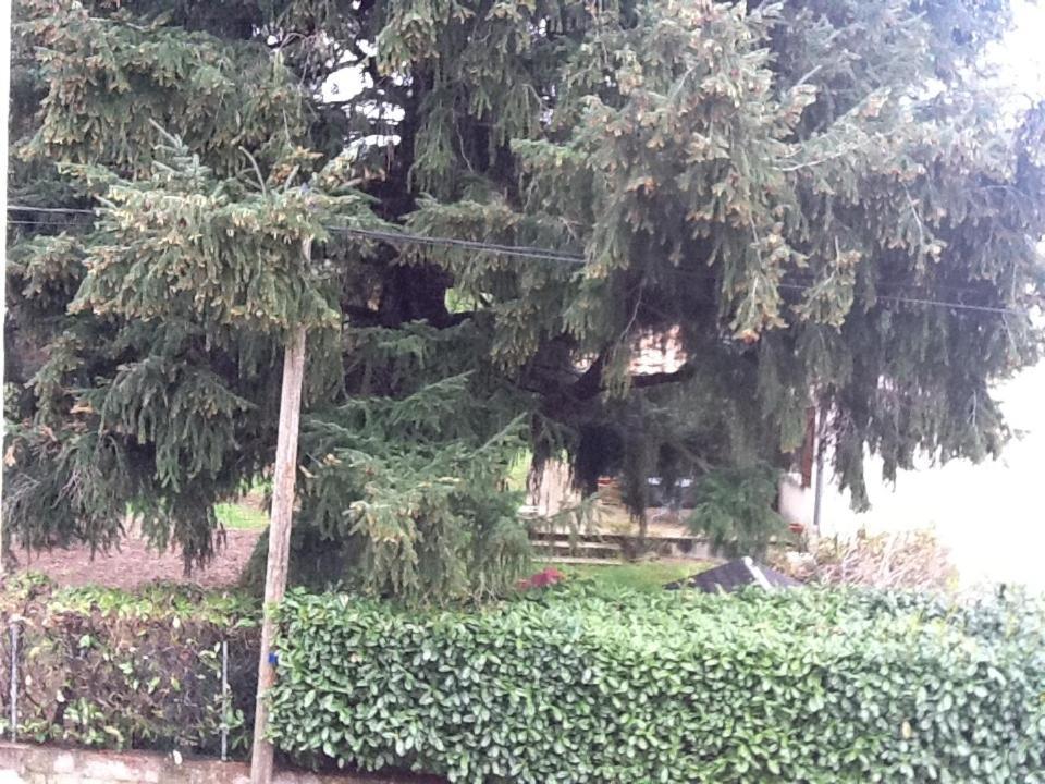 Domaine De La Condamine Otel Marquay Oda fotoğraf
